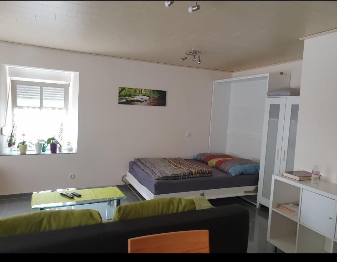 Ferien-Apartment Meter Neumagen-Dhron Esterno foto